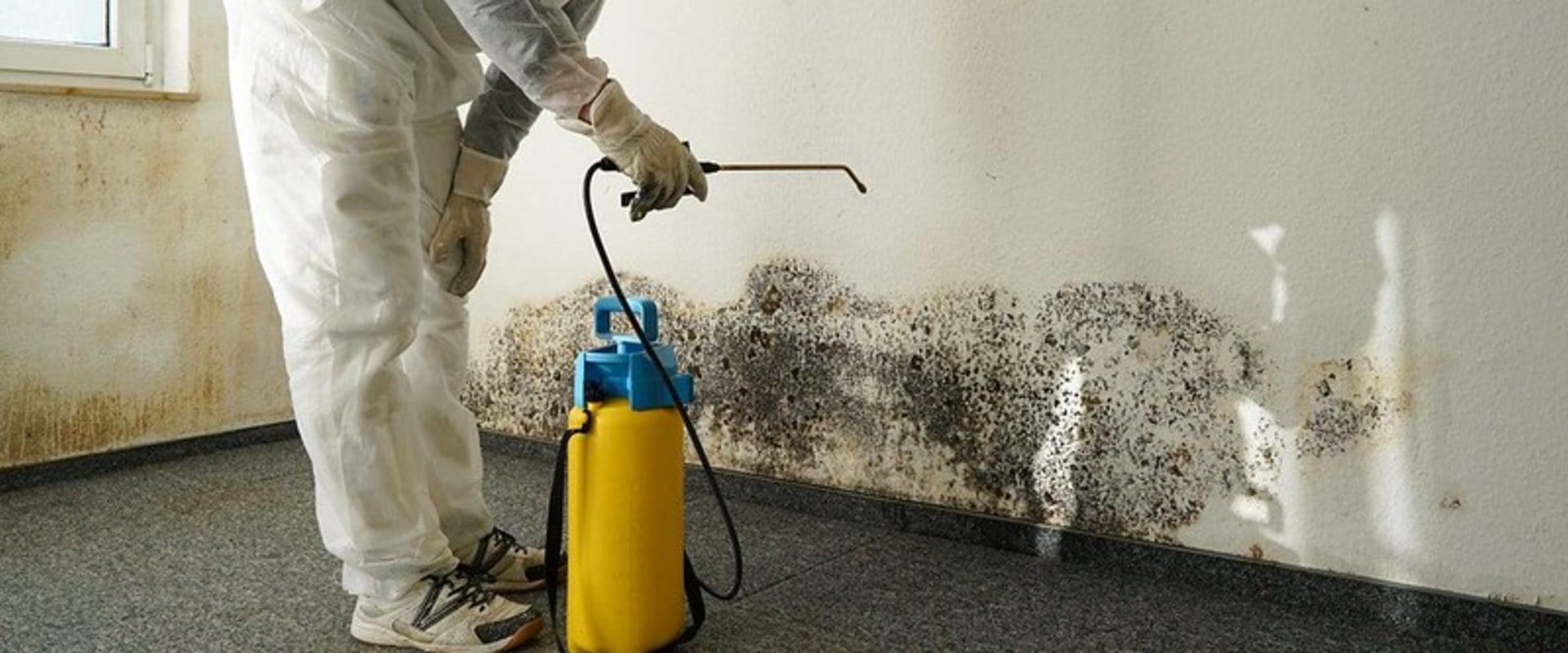 Why You Should Prioritize Mold Removal In Philadelphia Before Foundation Repair