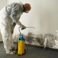 Why You Should Prioritize Mold Removal In Philadelphia Before Foundation Repair