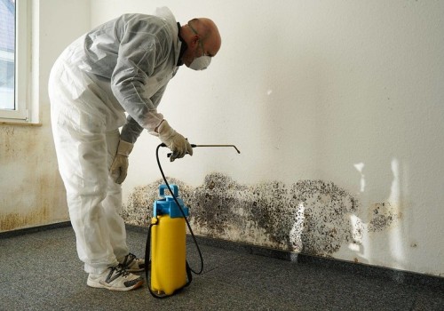 Why You Should Prioritize Mold Removal In Philadelphia Before Foundation Repair